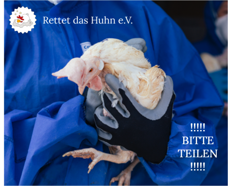 Rettet das Huhn